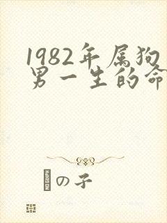 1982年属狗男一生的命运如何
