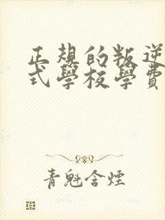 正规的叛逆封闭式学校学费