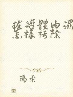 拔罐体内湿气重怎样祛除封面