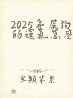 2025年属狗的运气怎么样