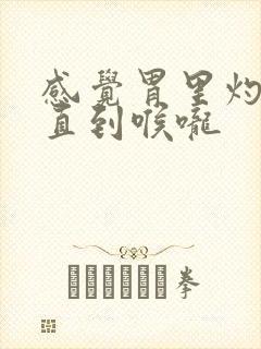 感觉胃里灼烧一直到喉咙