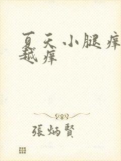 夏天小腿痒越抓越痒