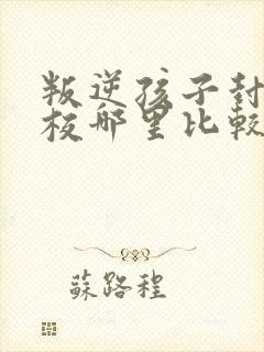 叛逆孩子封闭学校哪里比较正规