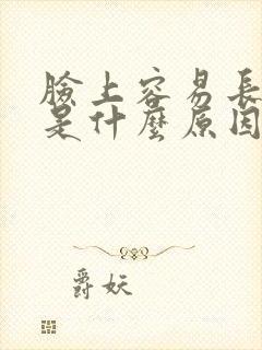 脸上容易长痘痘是什么原因