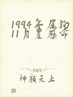 1994年属狗11月农历命运如何