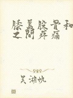 膝盖股骨和胫骨之间疼痛