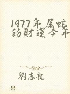 1977年属蛇的财运今年怎么样