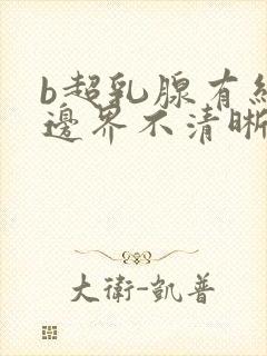 b超乳腺有结节边界不清晰