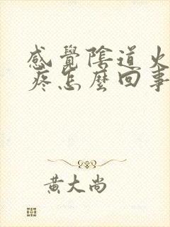 感觉阴道火辣辣疼怎么回事