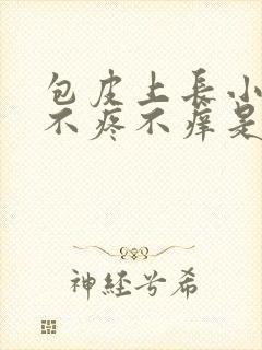 包皮上长小疙瘩不疼不痒是怎么回事封面