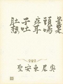 肚子疼头晕恶心想吐耳鸣是怎么回事