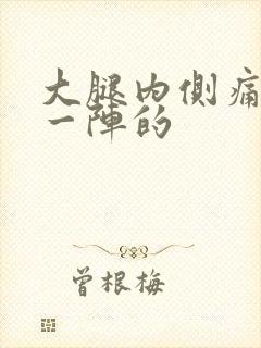 大腿内侧痛一阵一阵的