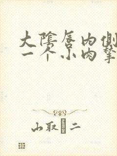 大阴唇内侧长了一个小肉揪封面