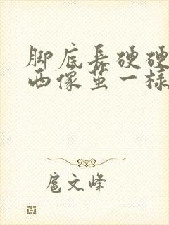 脚底长硬硬的东西像茧一样走路疼封面