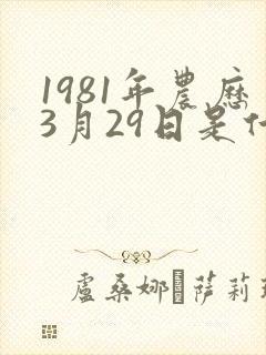 1981年农历3月29日是什么命