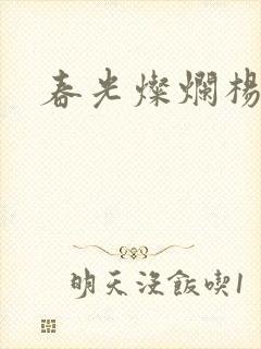 春光灿烂杨家将