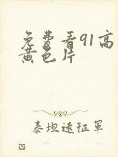 免费看91高清黄色片