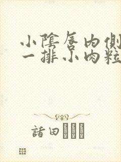 小阴唇内侧长了一排小肉粒