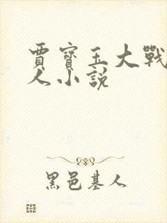 贾宝玉大战王夫人小说