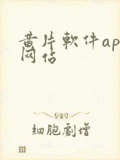 黄片软件app网站