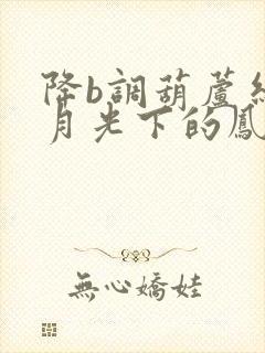 降b调葫芦丝吹月光下的凤尾竹封面