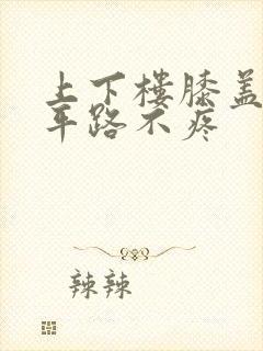 上下楼膝盖疼走平路不疼