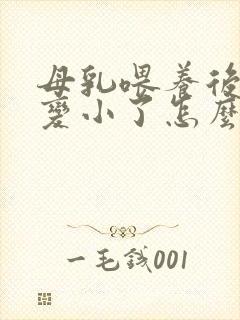 母乳喂养后乳房变小了怎么办封面