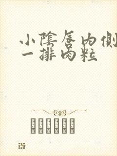 小阴唇内侧长了一排肉粒