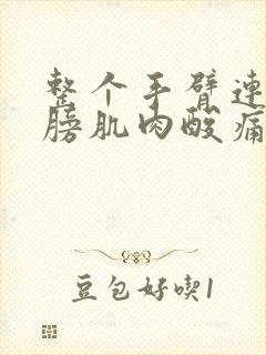 整个手臂连着肩膀肌肉酸痛无力