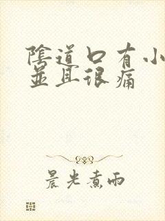 阴道口有小肉粒并且很痛