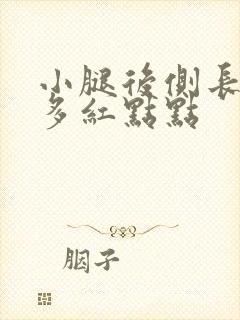 小腿后侧长了很多红点点