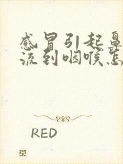 感冒引起鼻涕倒流到咽喉怎么治封面