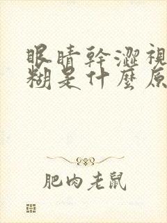 眼睛干涩视力模糊是什么原因造成的眼睛