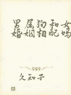 男属狗和女属羊婚姻相配吗