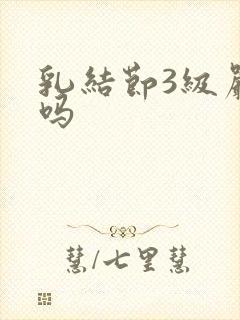 乳结节3级严重吗