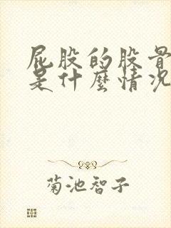 屁股的股骨头疼是什么情况