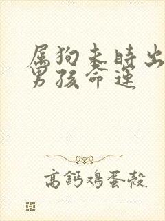 属狗未时出生的男孩命运封面