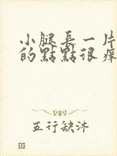 小腿长一片红色的点点很痒