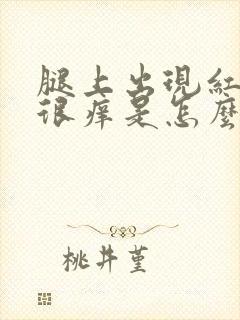 腿上出现红疙瘩很痒是怎么回事