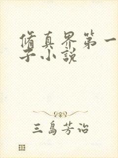 修真界第一病秧子小说封面