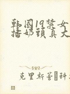 韩国19禁女主播奶头真大