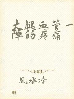 大腿血管一阵一阵的疼痛