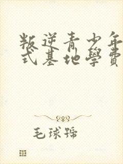 叛逆青少年封闭式基地学费