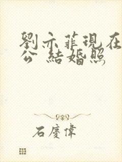 刘亦菲现在的老公 结婚照