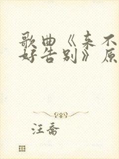 歌曲《来不及好好告别》原唱是谁封面