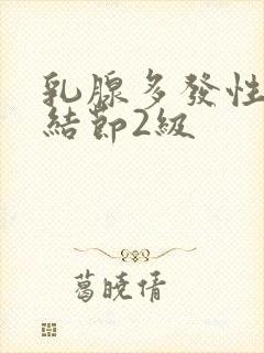 乳腺多发性囊性结节2级