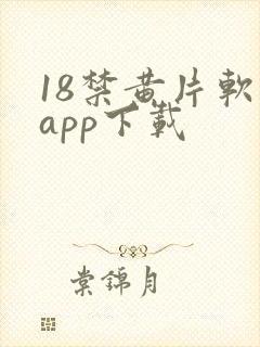 18禁黄片软件app下载封面