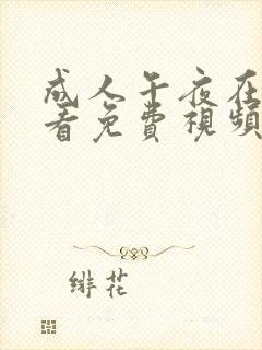 成人午夜在线观看免费视频