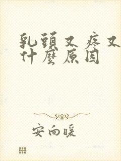 乳头又疼又痒是什么原因