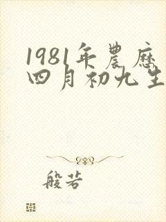 1981年农历四月初九生人命运怎么样